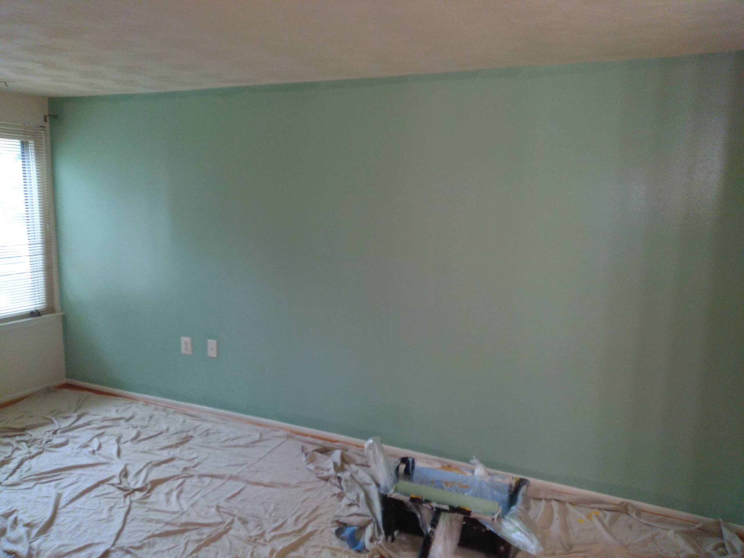 Residential painting services brightening Tampa living room interior wall.